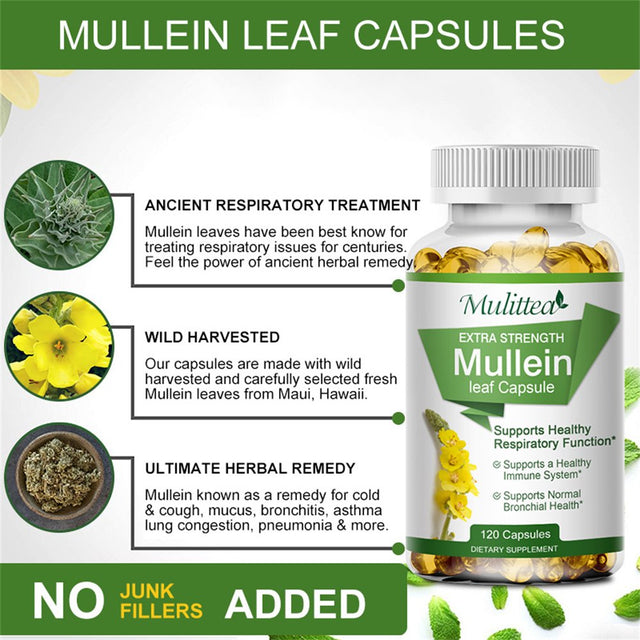 Mulittea 100% Natural Mullein Leaf Capsules for Cleanse, Supports Healthy Respiratory, 120 Capsules