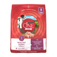 Purina ONE Natural, High Protein Dry Puppy Dog Food, Healthy Puppy Formula, 8 Lb. Bag