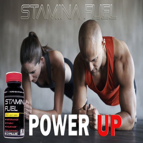 Stamina Fuel - 90 Capsules Natural Male Supplement Made in the USA Energy, Endurance and Physical Performance Booster