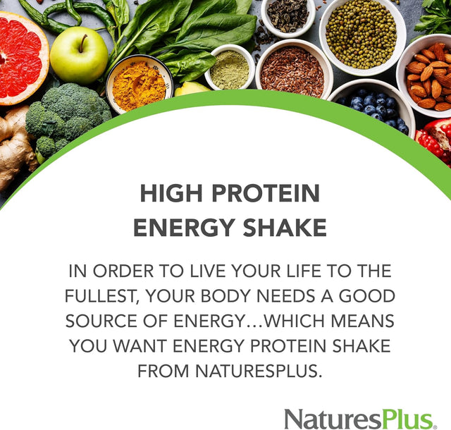 Naturesplus Energy Shake - 1.7 Lb - 16 Grams of Plant-Based Protein per Serving - Contains Digestion-Supporting Enzymes - No Added Sugar - Non-Gmo, Vegetarian, Gluten Free - 28 Servings