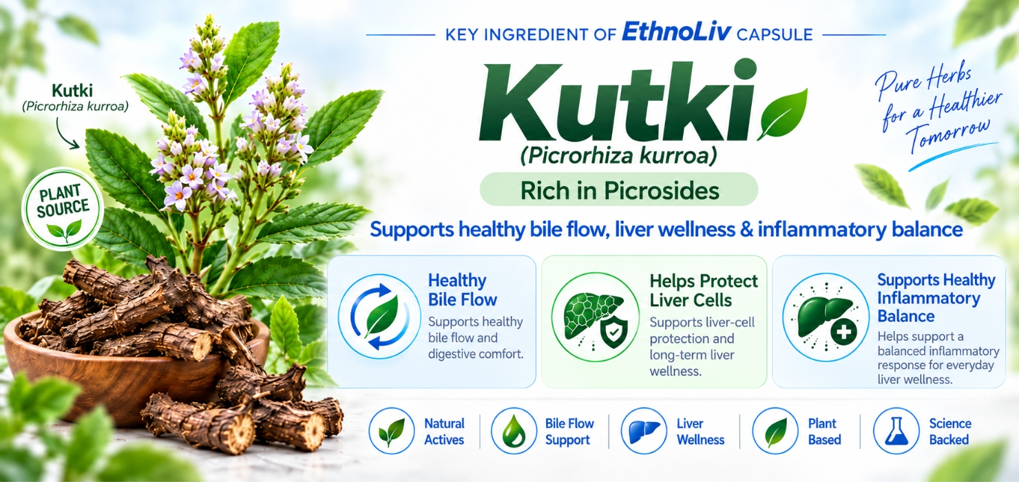 EthnoLiv Ayurvedic Liver Detox Support Capsules (Pack of 2)