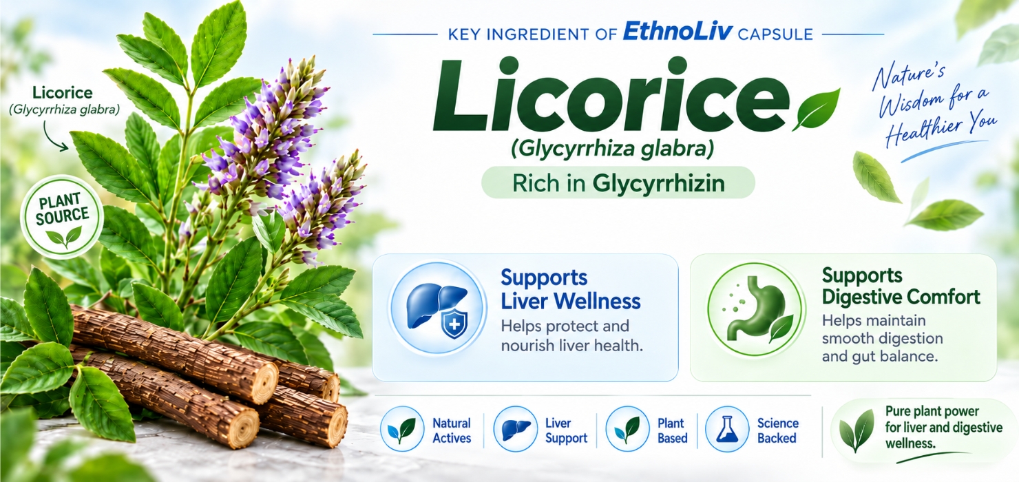 EthnoLiv Ayurvedic Liver Detox Support Capsules (Pack of 2)