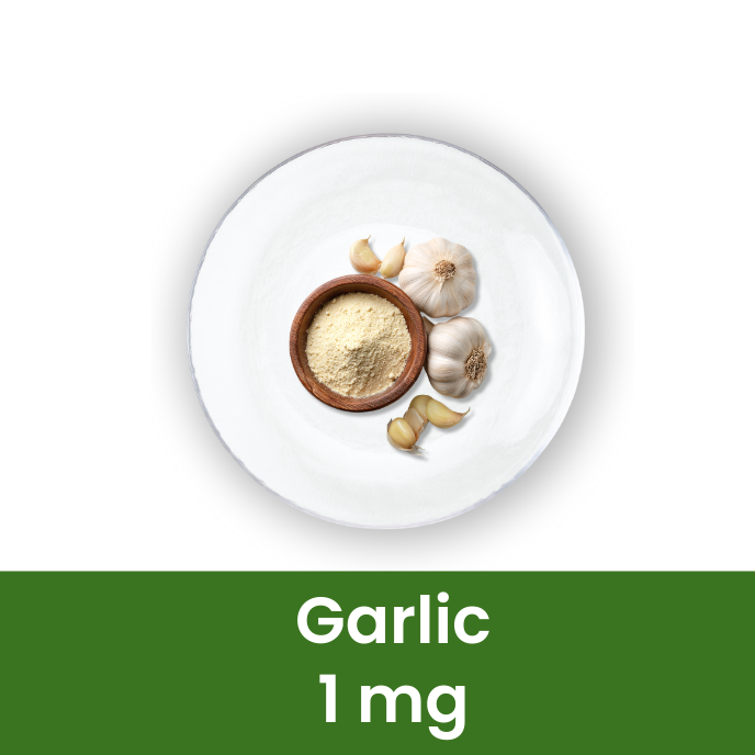 Liver Care Syrup | Ayurvedic Herbal Liver Support | 500 ml