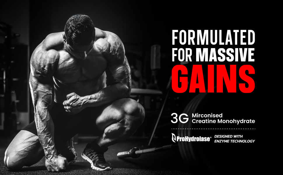 Bigmuscles Nutrition Creatine [155g, 50 Servings]| Blueberry | Micronized Creatine Monohydrate To Support Lean Muscle Repair & Recovery|Increase Strength&Athletic Performance,Powder, 1 count