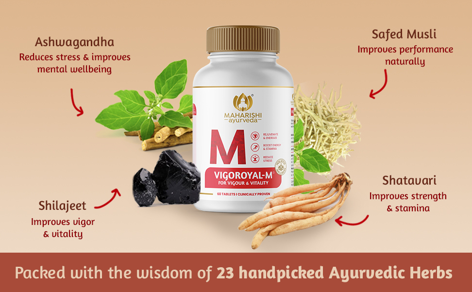 Maharishi Ayurveda Shilajit Tablets | Vigoroyal M- Infused with Original Shilajit | Natural Shilajeet - 60 tablets