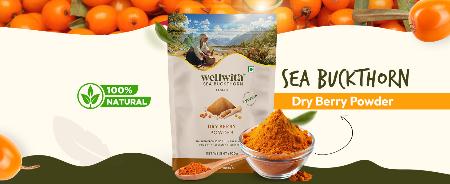 Wellwith Himalayan Sea Buckthorn Dry Berry Skin Powder(100gm.Pack of 3) | Rich in Omega |Vitamin C, Vitamin E | Dry Sea Buckthorn Berry Powder