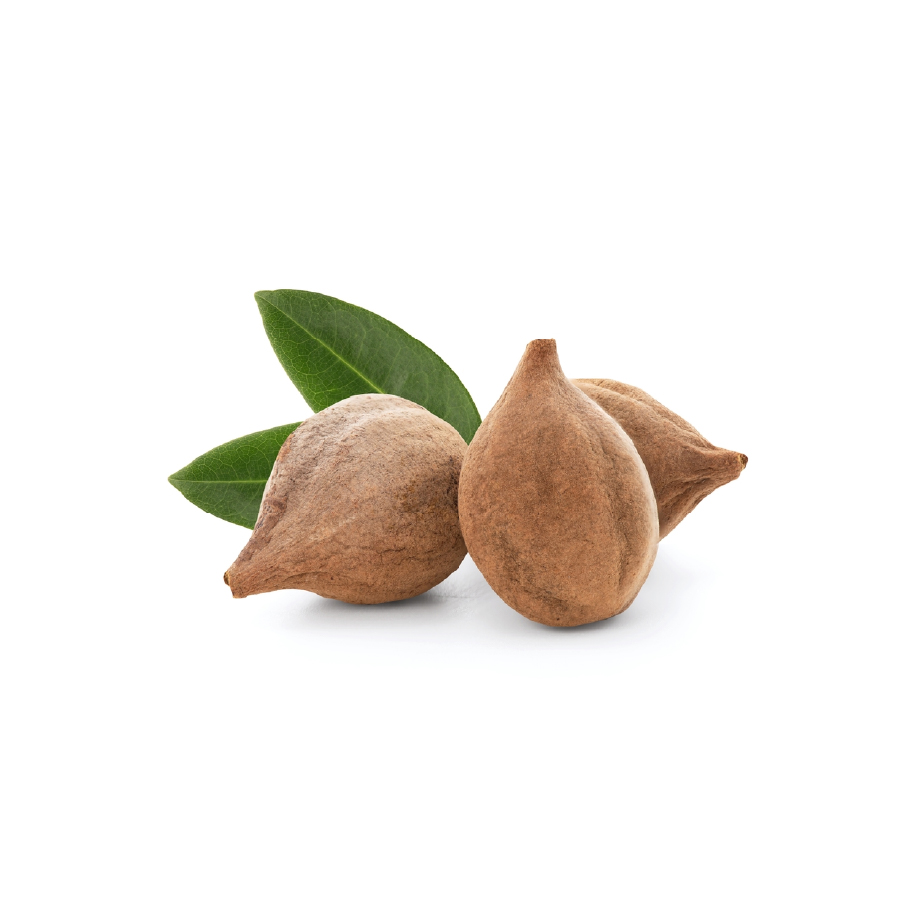Sitaram Ayurveda Triphala Capsules | Supports Digestive Wellness & Natural Bowel Balance | Vegan | 60 Nos.