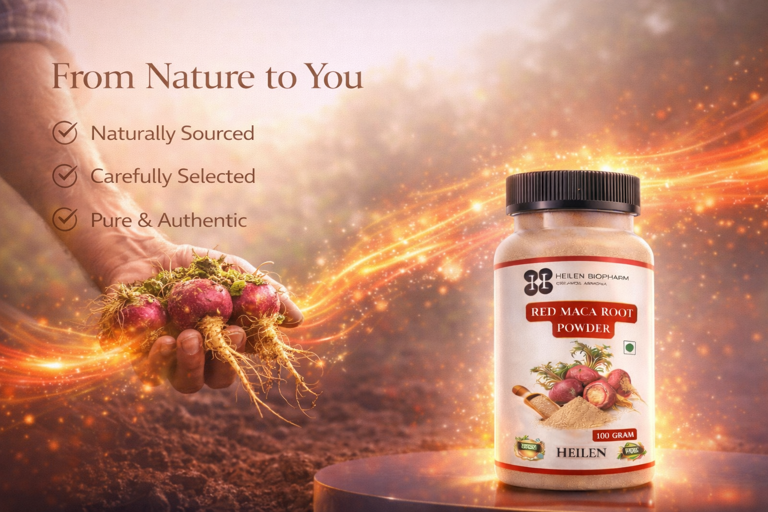 Heilen Biopharm Red Maca Root Powder 100 g | Natural Superfood Root | Traditionally Used Herbal Powder | For Smoothies & Daily Wellness | 100% Pure