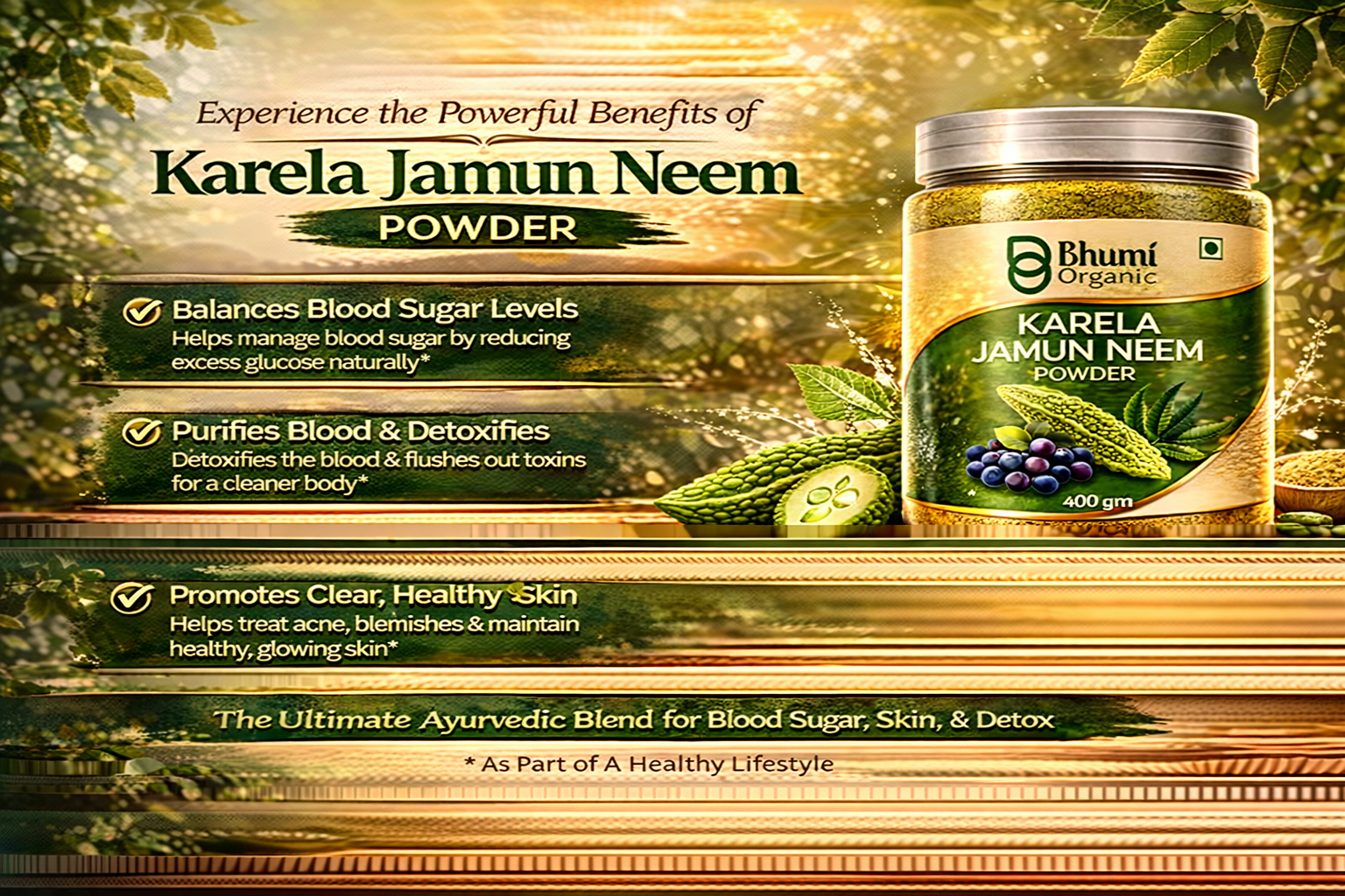 Karela Jamun Neem Powder, 400 gm