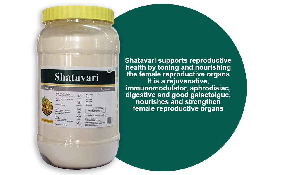 Jain Shatavari Powder organic 1Kg | Pure Ayurvedic Herbal Supplement for Women’s Wellness | Supports Reproductive Health, Menstrual Balance | Fertility, Lactation, Stress Relief, Digestion & Immunity