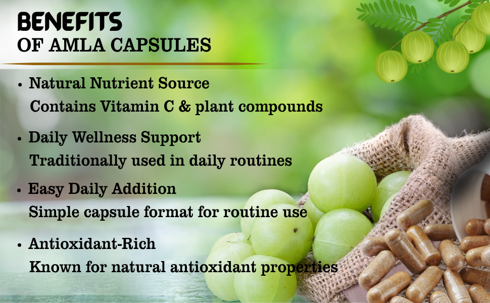 Amla Capsules 180 Veg Capsules by Naturevibe Botanicals Indian Gooseberry (Emblica Officinalis) Supplement | Natural Source of Vitamin C & Antioxidants | Daily Herbal Wellness Support | Serving Size 2 capsules daily