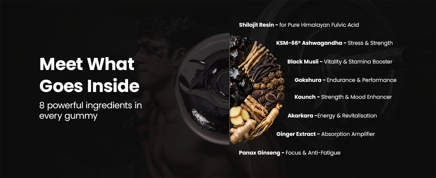 Shilajit Gummies (60 Shilajeet Gummies) with Potent Fulvic Acid & KSM-66 Ashwagandha | Boost Energy, Stamina & Strength | Helps Reduce Stress & Fatigue | No Added Sugar