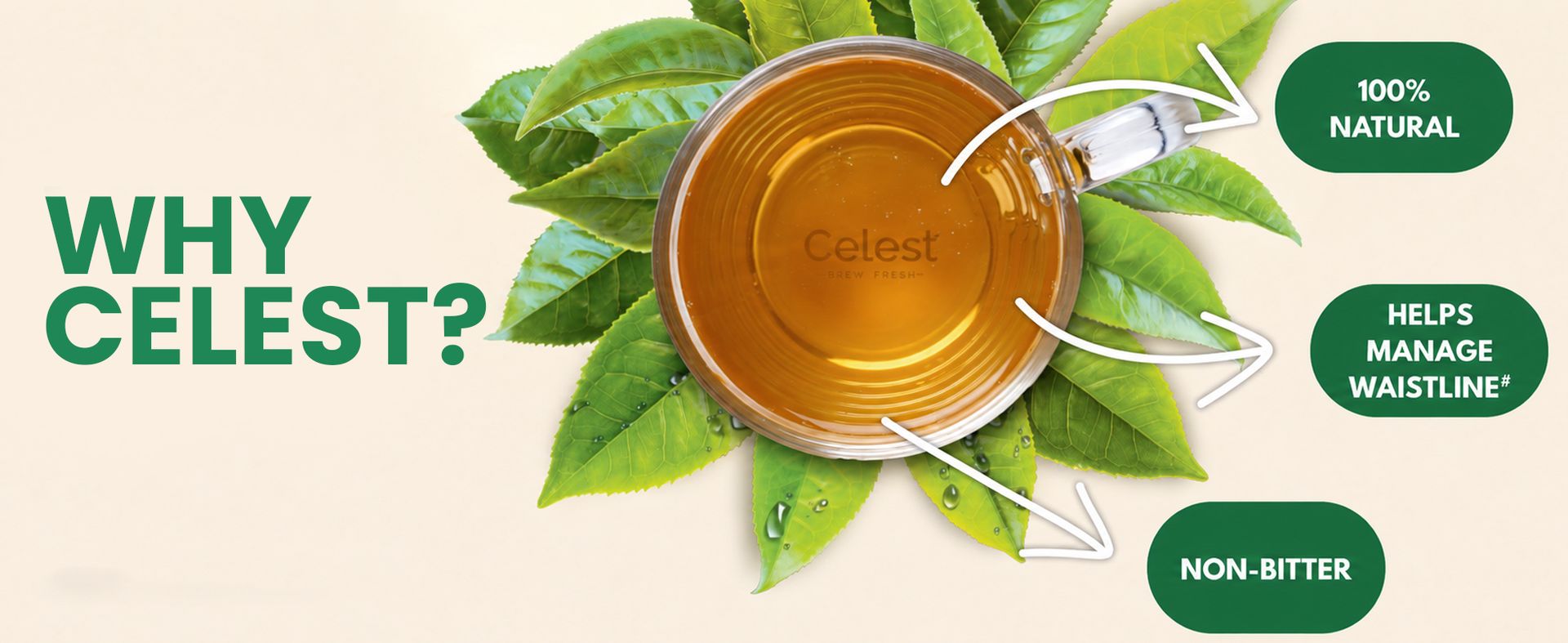 Celest Lemon and Honey Green Tea 100 Tea Bags | Immunity Support | Refreshing & Energizing | Pack of 4