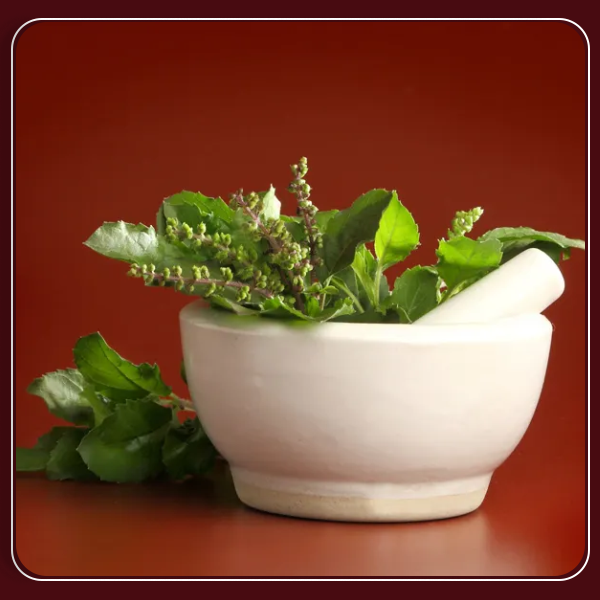 JMN Beej Tulsi - Tulsi Manjari - Krishna Tulsi Seed For Eating And Weightloss - Shyama Tulsi Seeds (Edible) - Krishna Basil Seeds - Kali Tulsi Beej - Tukhme Rehan - Ocimum Sanctum (150 gm, Natural)