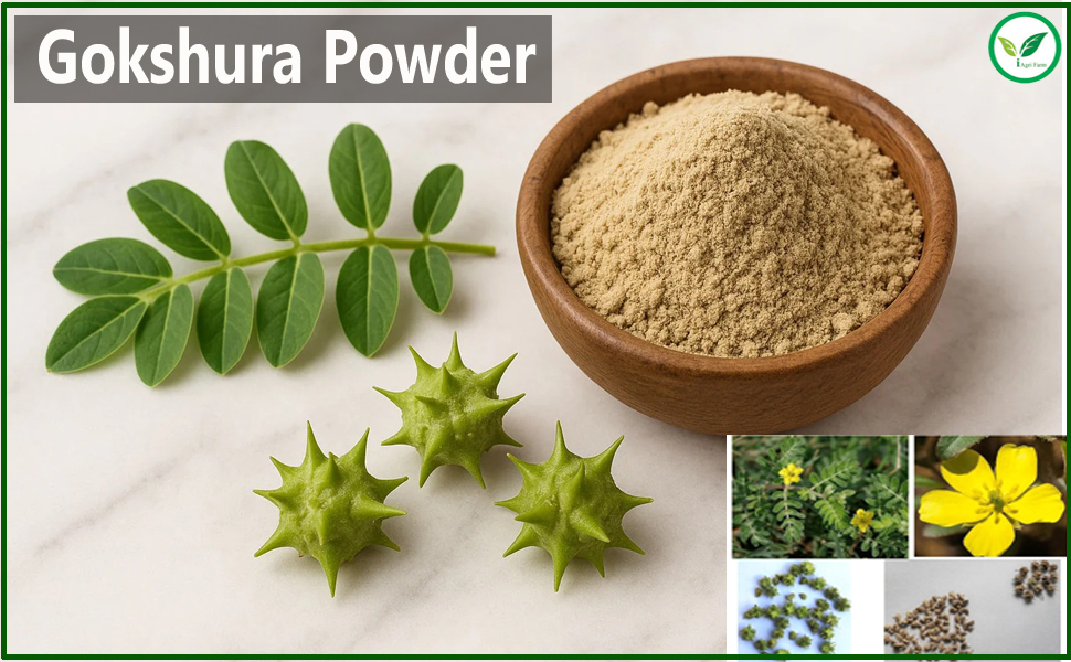 Iagrifarm Gokshura Powder - 250g - Nerunji Mull/Gokhru Chota/Cinnapalleru Powder
