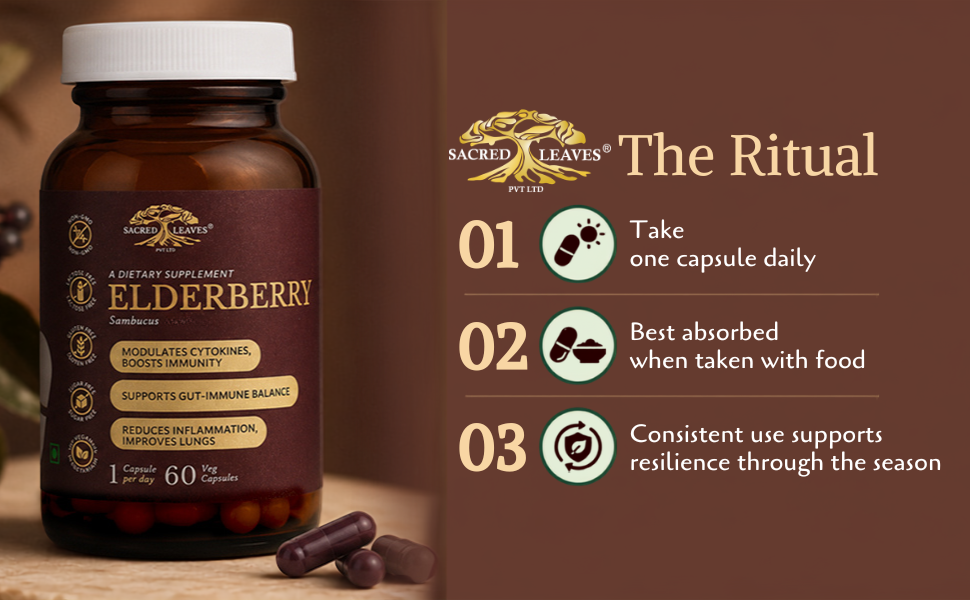 Elderberry Extract 500 mg, Immune Support Supplement