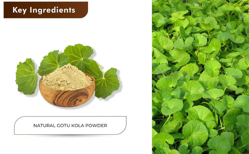 Herbal Hills Gotu Kola Powder (1 Kg (Single Pack))