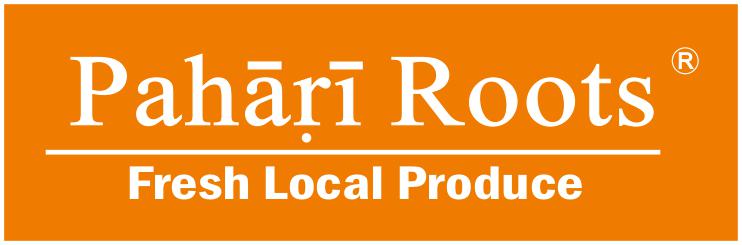 Pahari Roots Ginger Powder | Adrak – Saunth | Meghalaya - High Gingerol, Healing, Strong Fragrance & Flavorful | Fresh Harvest | 200gms