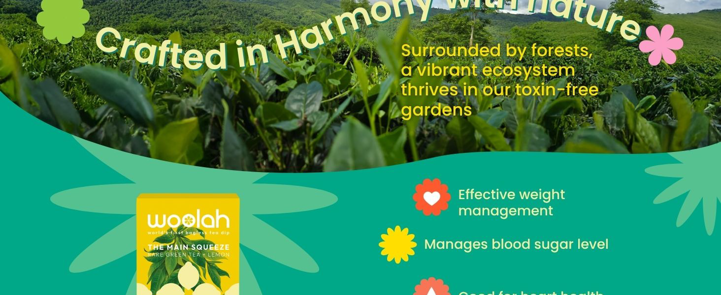 Woolah Rare Assam Green Tea With Lemon, Organic Bagless Tea Dip (4 Packs = 60 Dips /120 Cups) 100% Plastic Free, Rich In Antioxidants, Supports Weight Management And Heart Health