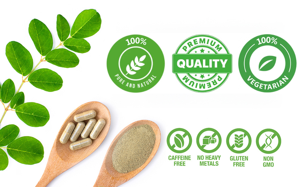 Moringa Tablets 700 Tablets | Moringa Oleifera (Pack of 1)