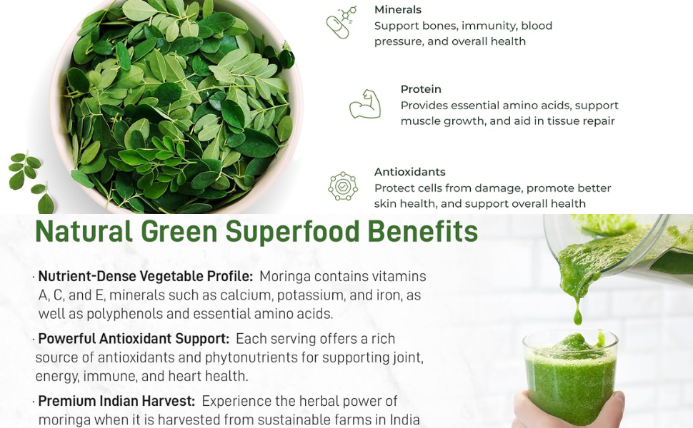 Moringa Tablets 700 Tablets | Moringa Oleifera (Pack of 1)