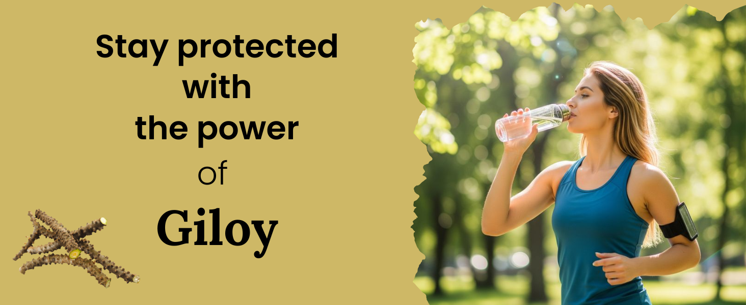 Giloy Powder (Tinospora Cordifolia) - 200g