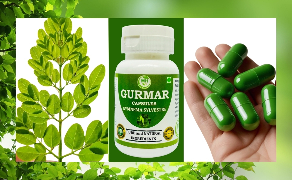 Ayurvedic Gurmar (Gudmar) Capsules 500mg – 60 Count | Vegetarian | Plant-Based | Herbal Supplement | No Artificial Additives | Gluten-Free | Organic | Gymnema sylvestre | Dia Free Herbal Capsules (pack of 1)
