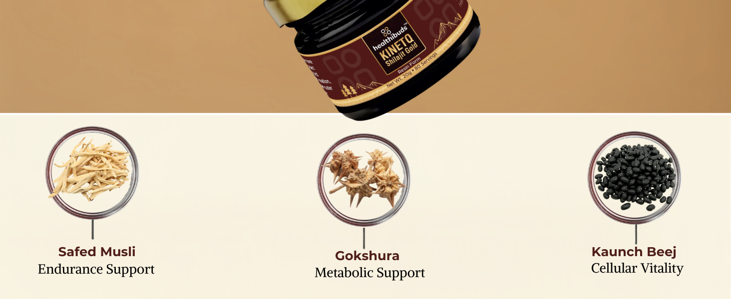KINETQ Shilajit Gold Resin 20g for Men & Women (20g)