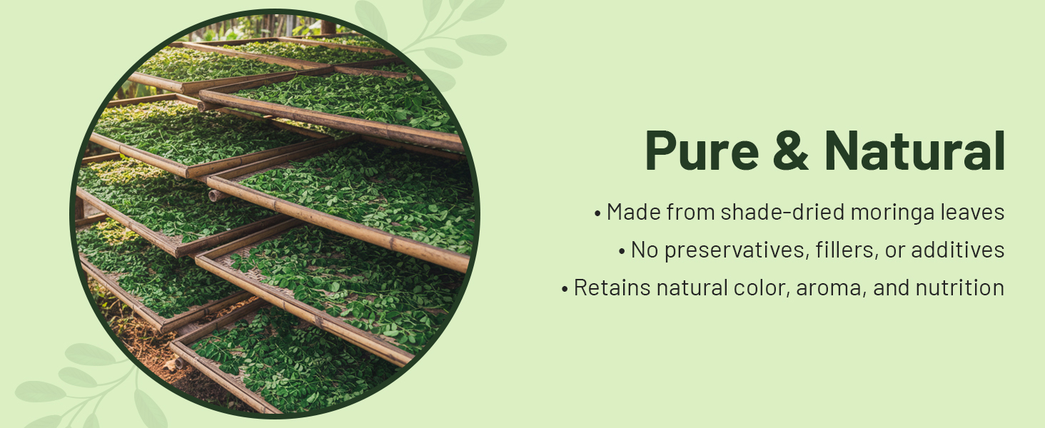 Moringa Powder Organic India - 200g, Pure Natural Moringa Leaves powder, Ayurvedic Superfood for Naturally Boost Energy Levels, Immunity, Boost Energy Level & Digestion