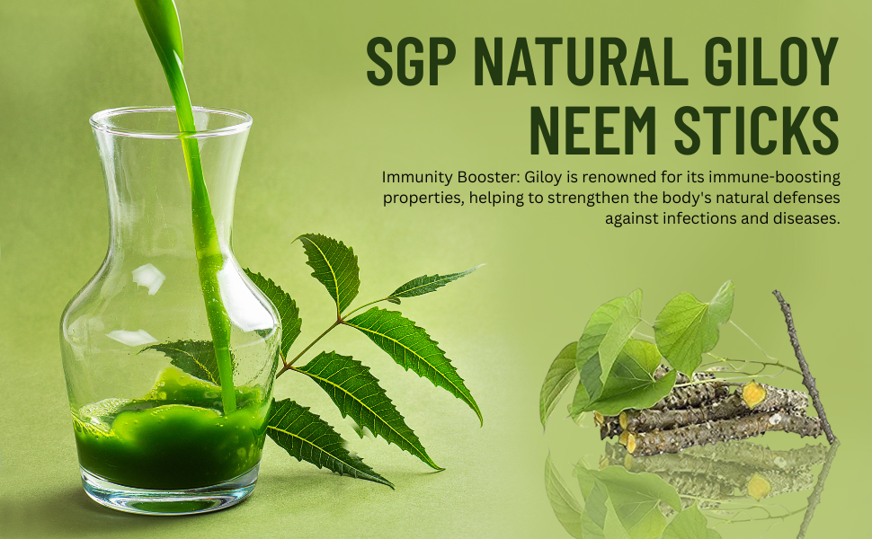 SGP Natural Giloy Neem Fresh Plant Stems Sticks Bel (9-inch) Set of 12