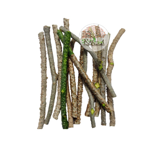 Fresh Neem Giloy Sticks (100-Inch Long) – Premium Fresh Guduchi Stems for Immunity Booster & Ayurvedic Wellness – Handpicked Natural Tinospora Cordifolia