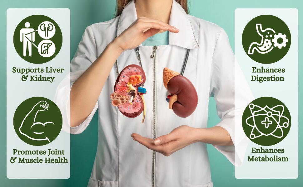 Punarnava Capsules | for Kidney & Urinary Wellness Support - 120 Capsules