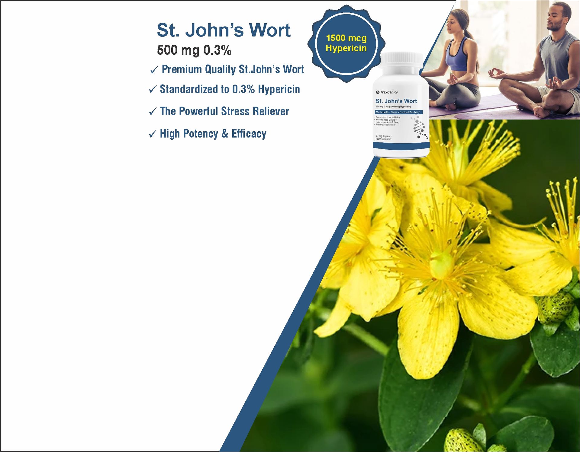 Trexgenics St. JOHN’S WORT 500mg Standardized (0.3% Hypericin) Stress, Mood, Mental health support (60 Vcaps) (1)