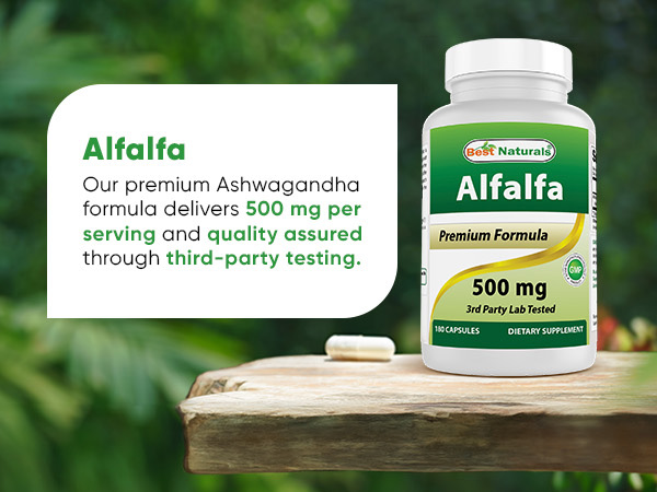 Best Naturals Alfalfa Green Super Food 500 mg 180 Capsules (180 Count (Pack of 1))