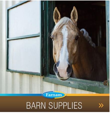 Farnam Quietex II Pellets Daily Horse Calming Supplement, 26 Day Supply