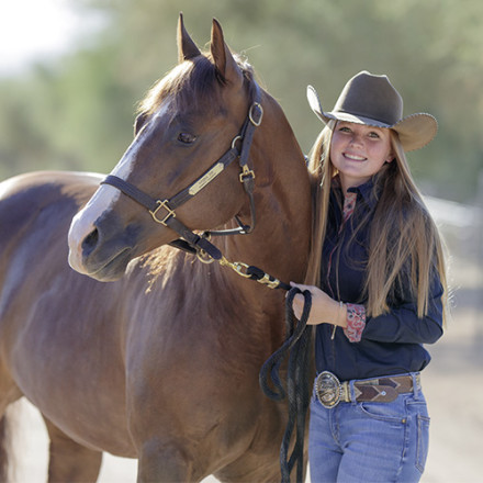 Farnam Hindgut Stabilizer Pellets, Daily Hindgut Support for Horses, 3.7 lb