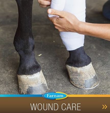 Farnam Grow Colt Supplement for Foal Growth & Development, 60 Day Supply