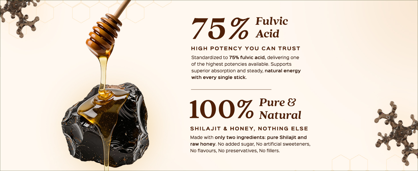 Shilajit Honey Sticks | Supports Energy, Strength, Stamina & Focus | 30 N