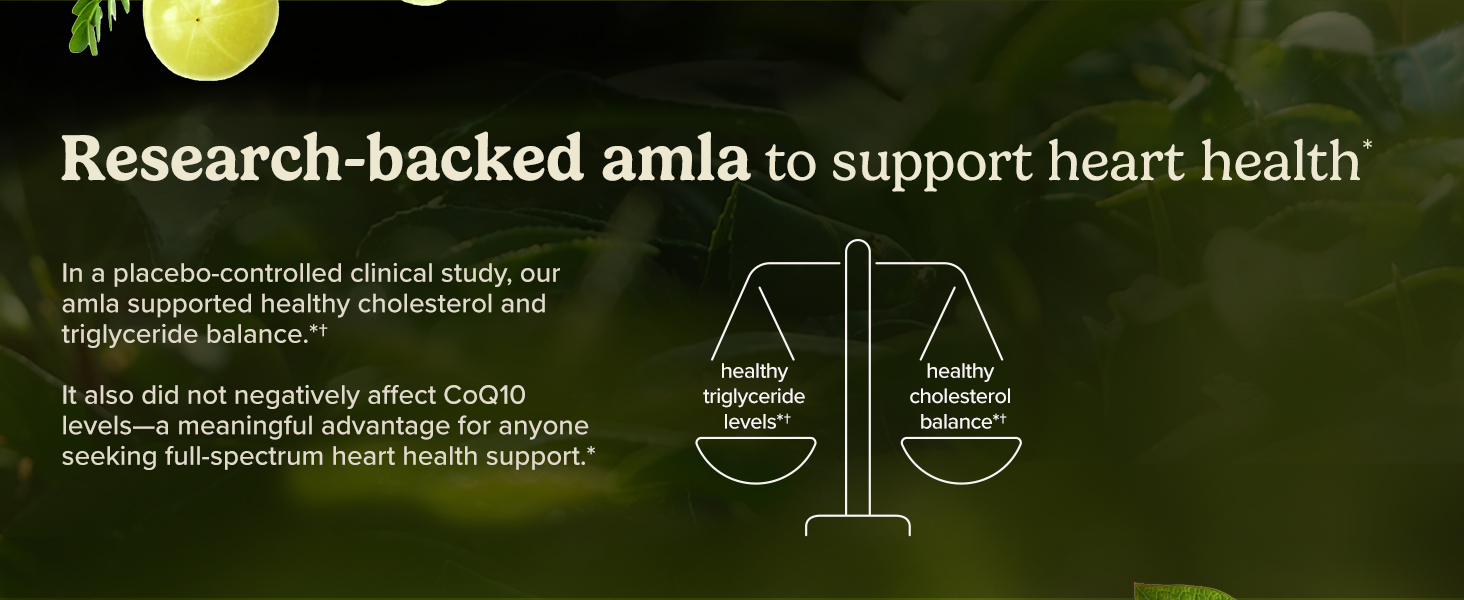 Terry Naturally Healthy Cholesterol with Amla - Heart Health - 60 Count