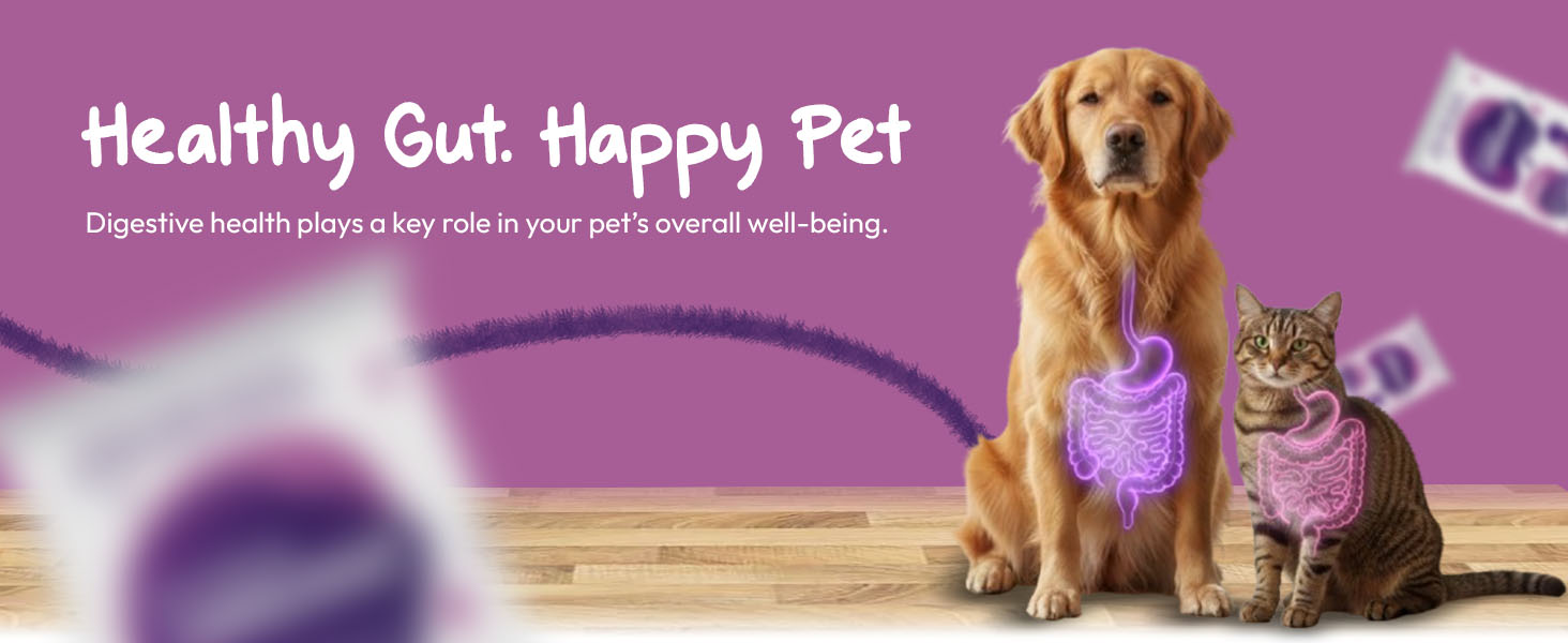 CAREOGUT Prebiotics & Probiotics for Dogs and Cats | Digestive Enzyme Blend | Probiotics Supplement for Gut Health | Cat & Dog Supplement for Daily Gut Support | Powder | 100 grm