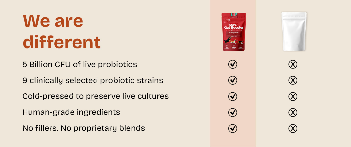 BLEP Super Gut Booster - Dog Probiotic Soft Chew Supplement, Gut Health, Loose Stool, Gas, Diarrhea & Itchy Skin | Pre, Pro & Postbiotics + Digestive Enzymes | 9 Probiotic Strains, 5B CFU | 60g