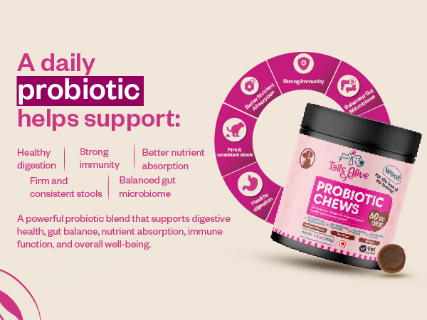 Probiotic Soft Chews Supplement for Dogs | Six Probiotic Strains for Gut Health & Digestion | Chicken Flavor | Supports Immune Function | 30 Soft Chews