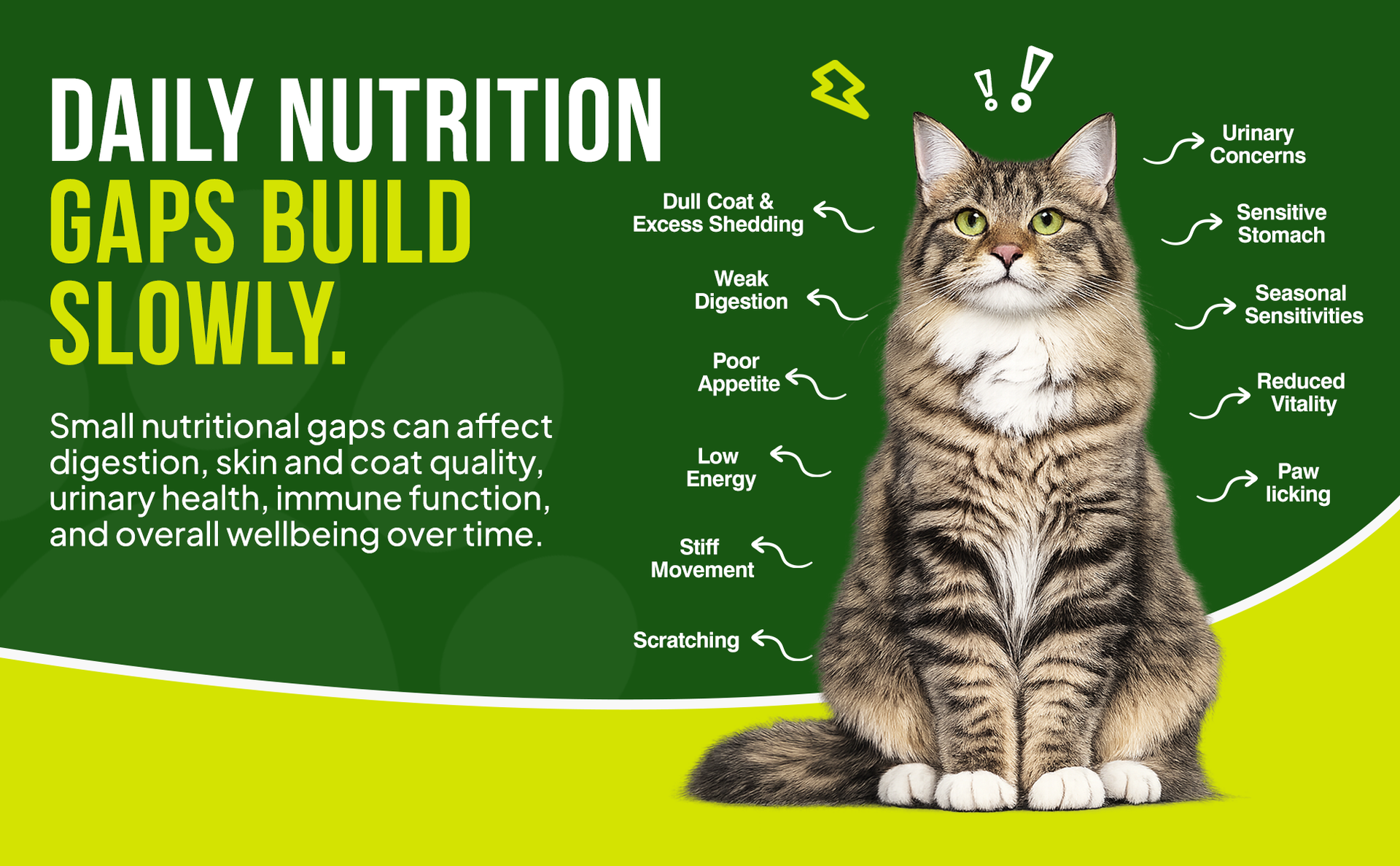 Daily Cat Supplement | Probiotics, Omega-3, Multivitamin, Taurine | Supports Gut, Urinary, Skin & Coat, Joint & Immunity Health, Human-Grade Chicken, All Life Stages, 300g