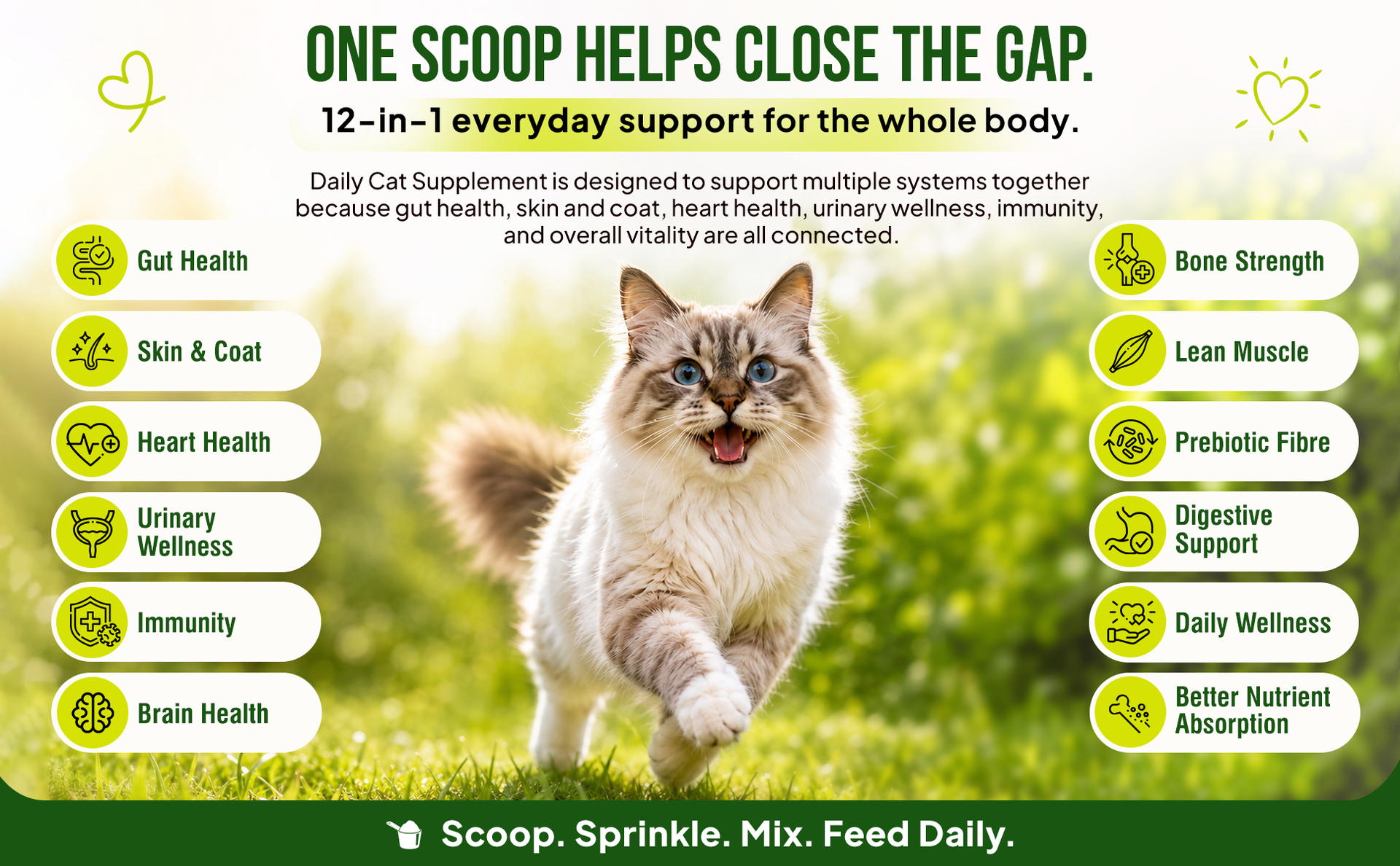 Daily Cat Supplement | Probiotics, Omega-3, Multivitamin, Taurine | Supports Gut, Urinary, Skin & Coat, Joint & Immunity Health, Human-Grade Chicken, All Life Stages, 300g