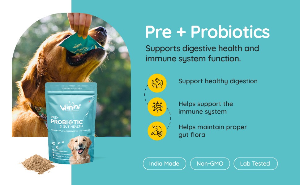 Winni Pre + Probiotics for Dogs | Gut Health | Improve Wellness, Optimised Absorption, Enhanced Metabolism, Reduced Inflammation - 120g