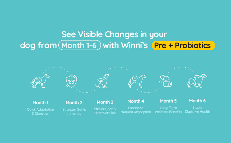 Winni Pre + Probiotics for Dogs | Gut Health | Improve Wellness, Optimised Absorption, Enhanced Metabolism, Reduced Inflammation - 120g