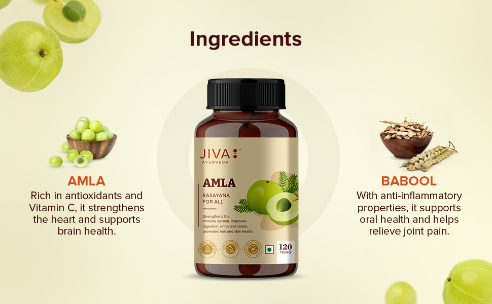 Jiva Amla Tablets 500mg 360 Tablet | 100% Pure Herbs Used, Rich In Vitamin C | Protects Against Free Radicals | Rich In Antioxidants | Improves Digestion | Enhances Vision -120 Tablet (Pack of 3)