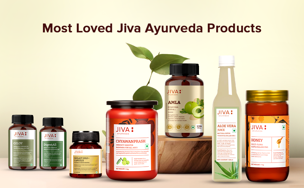 Jiva Amla Tablets 500mg 360 Tablet | 100% Pure Herbs Used, Rich In Vitamin C | Protects Against Free Radicals | Rich In Antioxidants | Improves Digestion | Enhances Vision -120 Tablet (Pack of 3)