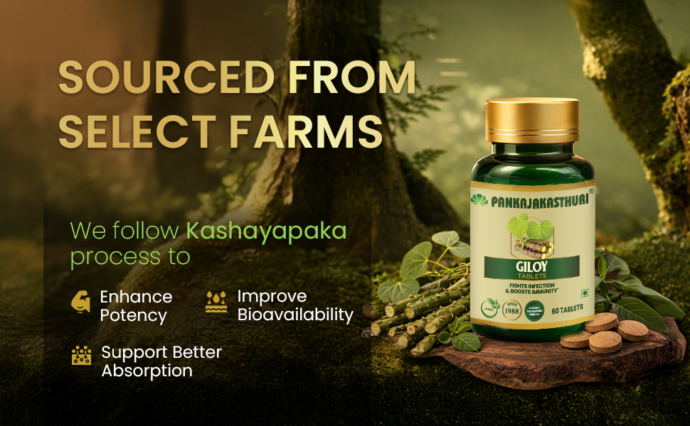 Pankajakasthuri Giloy Tablets | Immunity Booster - 60 Tablets
