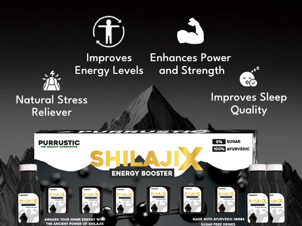 Pure Himalayan Shilajit for Men, Shilajit Contains with Gokshuru, Ashwagandha, 100% Ayurvedic & Zero Sugar, Support in Muscle Stamina, Reduces Cortisol & Stress (Pack of 1 Bottle, 300gm)